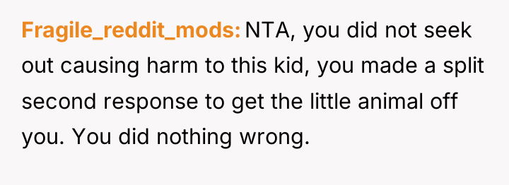 Fragile_reddit_mods NTA, you did not seek out causing harm to...