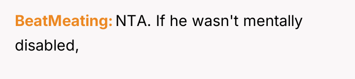 BeatMeating NTA. If he wasn't mentally disabled,