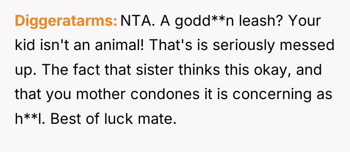 Diggeratarms NTA. A godd**n leash? Your kid isn't an animal!...