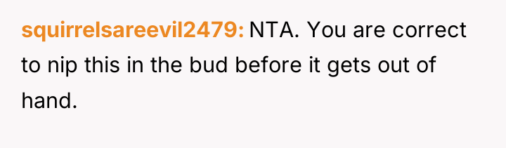 squirrelsareevil2479 NTA. You are correct to nip this in the...
