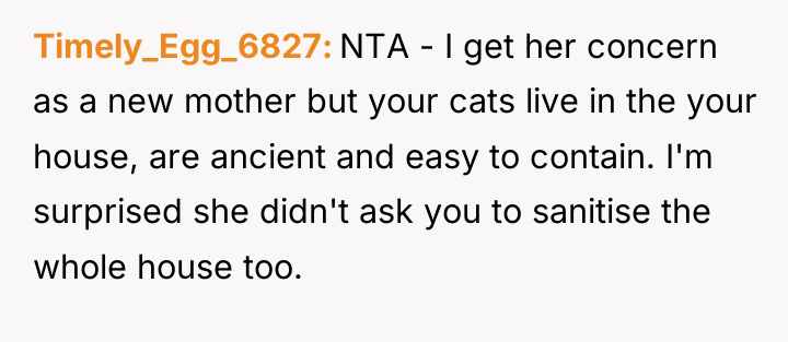Timely_Egg_6827 NTA - I get her concern as a new...