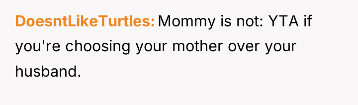 DoesntLikeTurtles Mommy is not: YTA if you're choosing your mother...