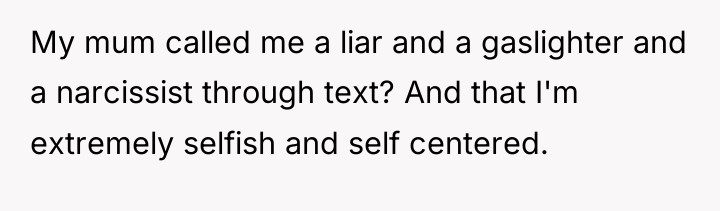 My mum called me a liar and a gaslighter and...