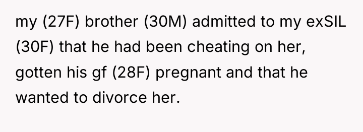 my (27F) brother (30M) admitted to my exSIL (30F) that...