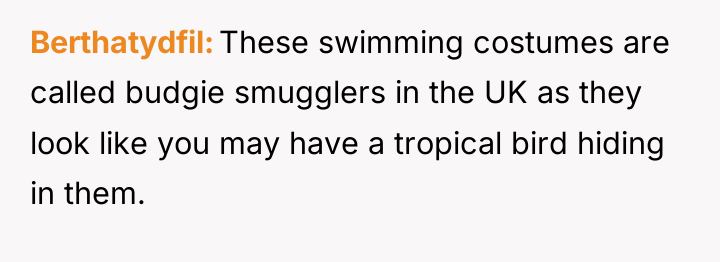 Berthatydfil These swimming costumes are called budgie smugglers in the...