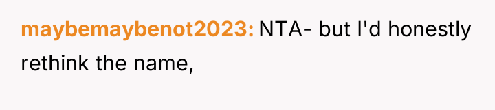 maybemaybenot2023 NTA- but I'd honestly rethink the name,