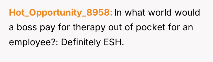 Hot_Opportunity_8958 In what world would a boss pay for therapy...
