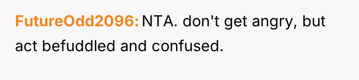FutureOdd2096 NTA. don't get angry, but act befuddled and confused.
