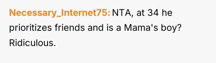 Necessary_Internet75 NTA, at 34 he prioritizes friends and is a...