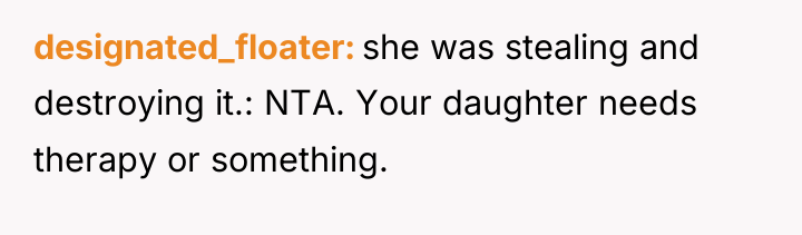 designated_floater she was stealing and destroying it.: NTA. Your daughter...