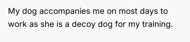 My dog accompanies me on most days to work as...