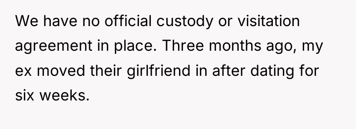 We have no official custody or visitation agreement in place....