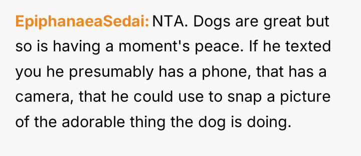 EpiphanaeaSedai NTA. Dogs are great but so is having a...