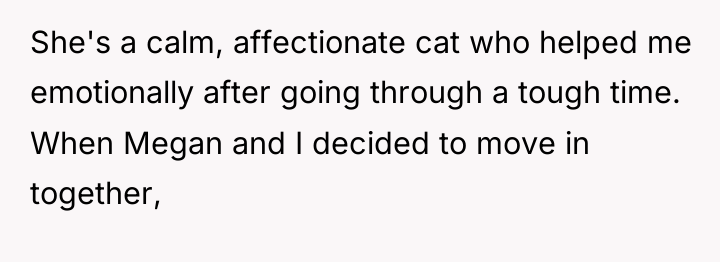 She's a calm, affectionate cat who helped me emotionally after...