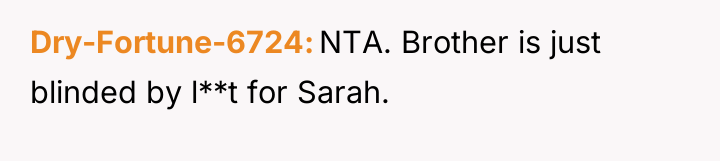 Dry-Fortune-6724 NTA. Brother is just blinded by l**t for Sarah.