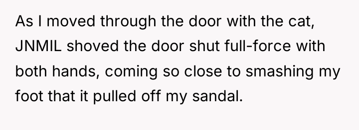 As I moved through the door with the cat, JNMIL...