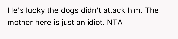 He's lucky the dogs didn't attack him. The mother here...