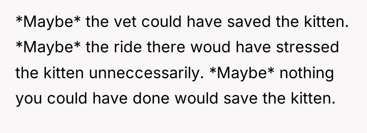 *Maybe* the vet could have saved the kitten. *Maybe* the...