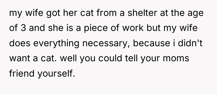my wife got her cat from a shelter at the...