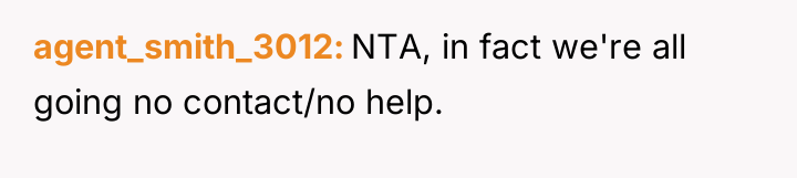 agent_smith_3012 NTA, in fact we're all going no contact/no help.