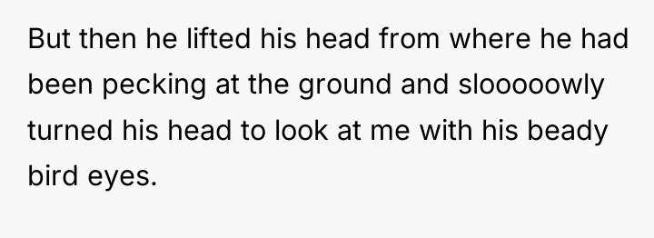 But then he lifted his head from where he had...