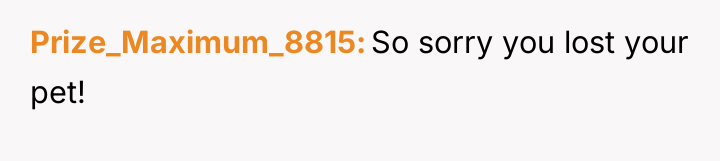 Prize_Maximum_8815 So sorry you lost your pet!