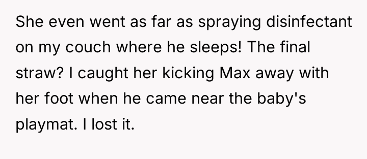 She even went as far as spraying disinfectant on my...