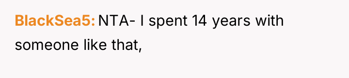 BlackSea5 NTA- I spent 14 years with someone like that,