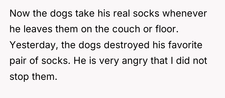 Now the dogs take his real socks whenever he leaves...