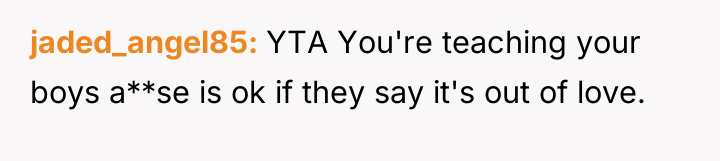 jaded_angel85 YTA You're teaching your boys a**se is ok if...