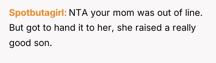 Spotbutagirl NTA your mom was out of line. But got...