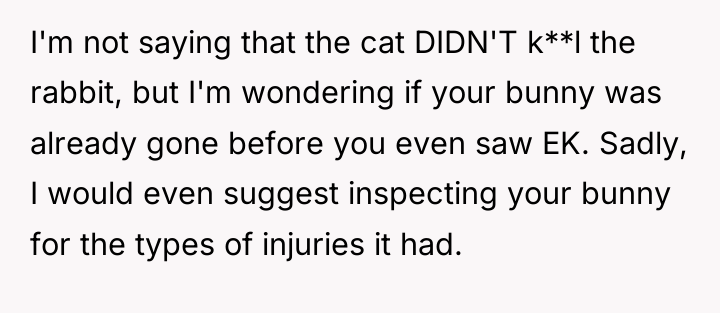 I'm not saying that the cat DIDN'T k**l the rabbit,...
