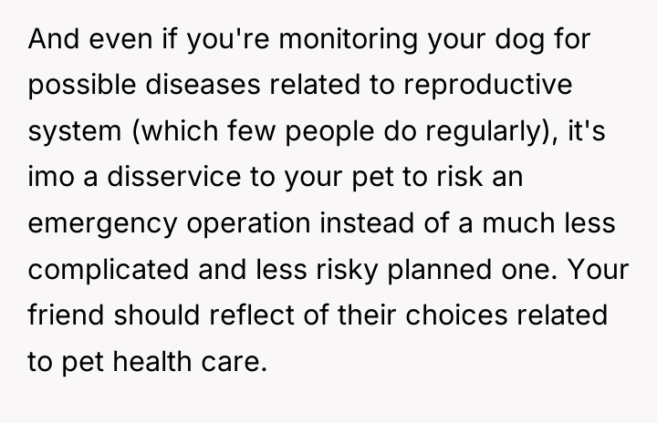 And even if you're monitoring your dog for possible diseases...