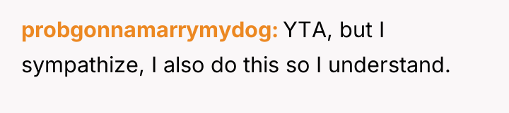 probgonnamarrymydog YTA, but I sympathize, I also do this so...