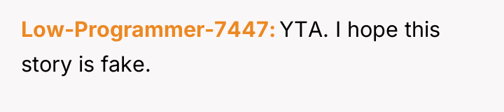 Low-Programmer-7447 YTA. I hope this story is fake.