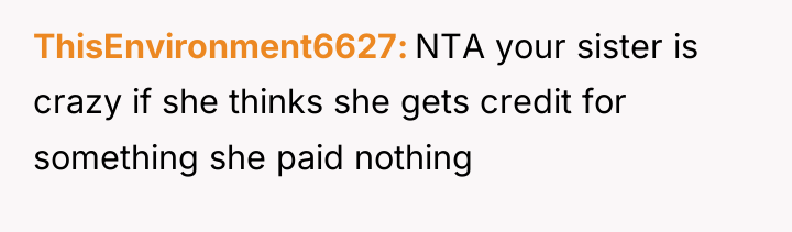 ThisEnvironment6627 NTA your sister is crazy if she thinks she...