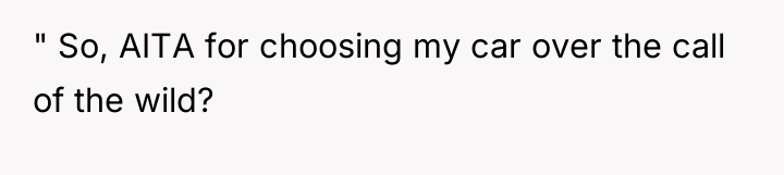 " So, AITA for choosing my car over the call...