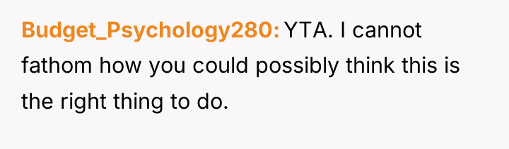 Budget_Psychology280 YTA. I cannot fathom how you could possibly think...