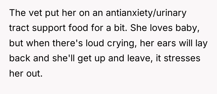 The vet put her on an antianxiety/urinary tract support food...