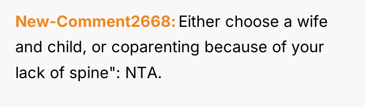 New-Comment2668 Either choose a wife and child, or coparenting because...