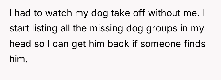 I had to watch my dog take off without me....