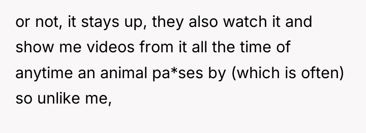 or not, it stays up, they also watch it and...