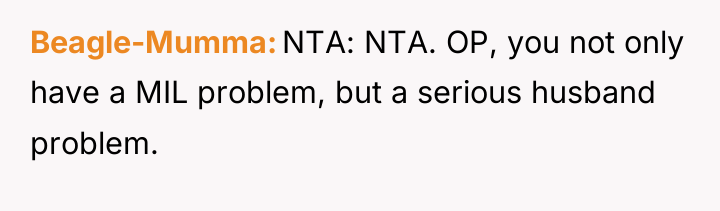 Beagle-Mumma NTA: NTA. OP, you not only have a MIL...
