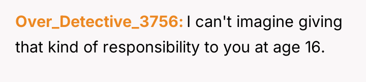 Over_Detective_3756 I can't imagine giving that kind of responsibility to...