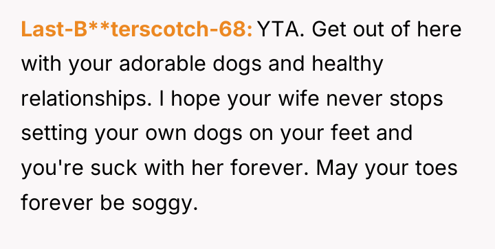 Last-B**terscotch-68 YTA. Get out of here with your adorable dogs...