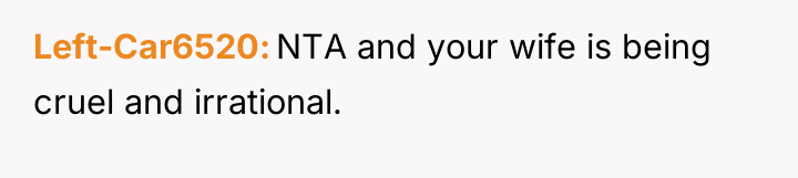 Left-Car6520 NTA and your wife is being cruel and irrational.