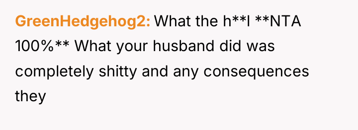 GreenHedgehog2 What the h**l **NTA 100%** What your husband did...
