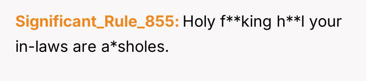 Significant_Rule_855 Holy f**king h**l your in-laws are a*sholes.