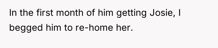 In the first month of him getting Josie, I begged...