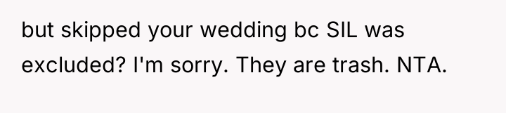 but skipped your wedding bc SIL was excluded? I'm sorry....